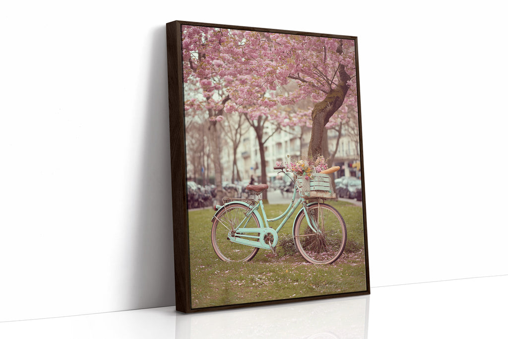 Bicycle Beneath Blossoming Canopy