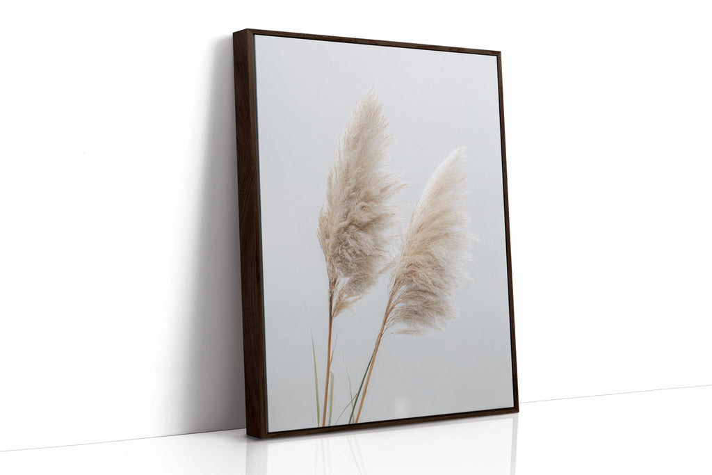 Dancing Grasses In Soft Light