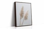 Dancing Grasses In Soft Light
