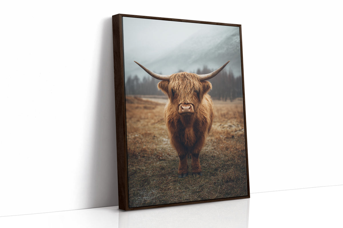 Guardian of the Highland Meadow