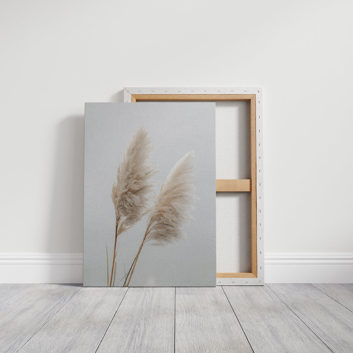 Dancing Grasses In Soft Light
