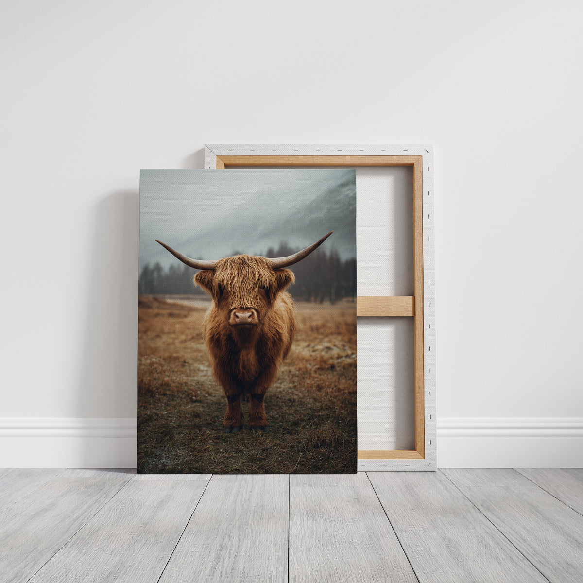 Guardian of the Highland Meadow