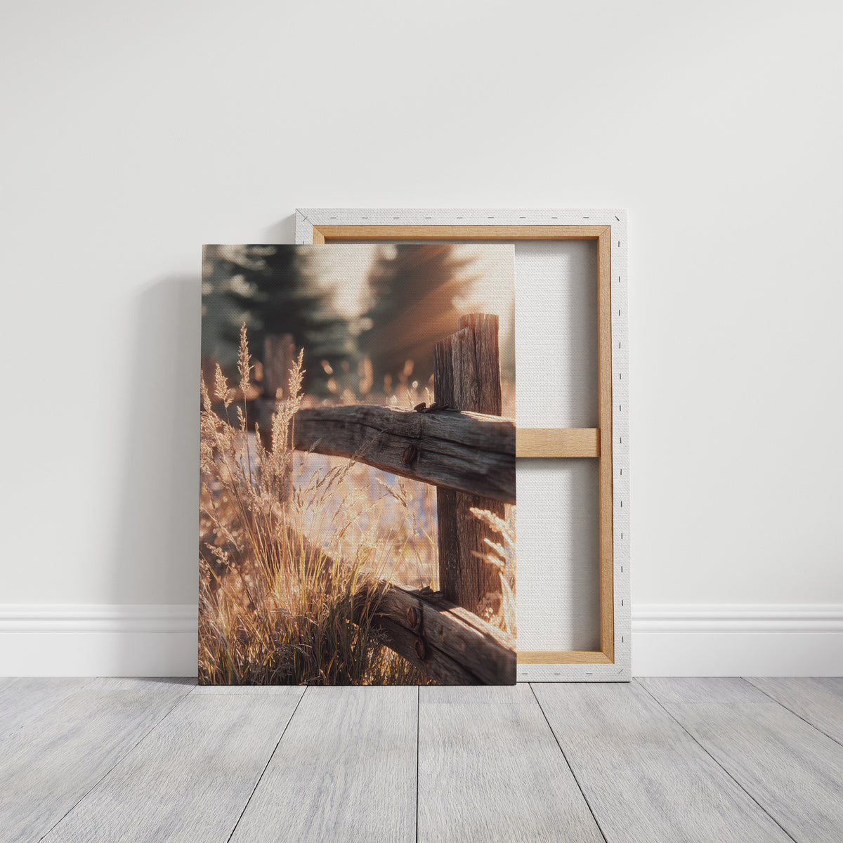 Golden Light on Weathered Wood