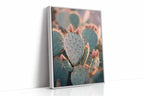 Cacti Embrace the Golden Dawn