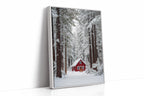 Sanctuary Beneath Snow-Covered Pines