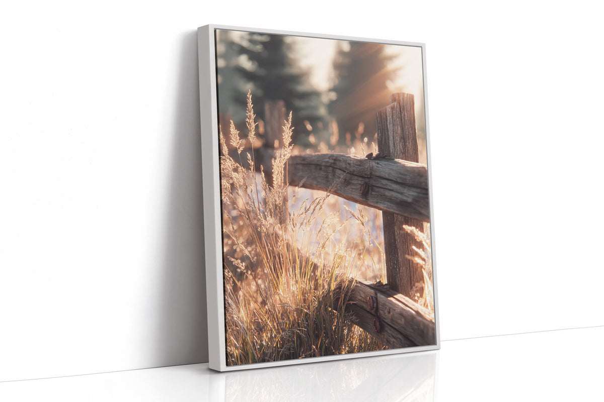 Golden Light on Weathered Wood
