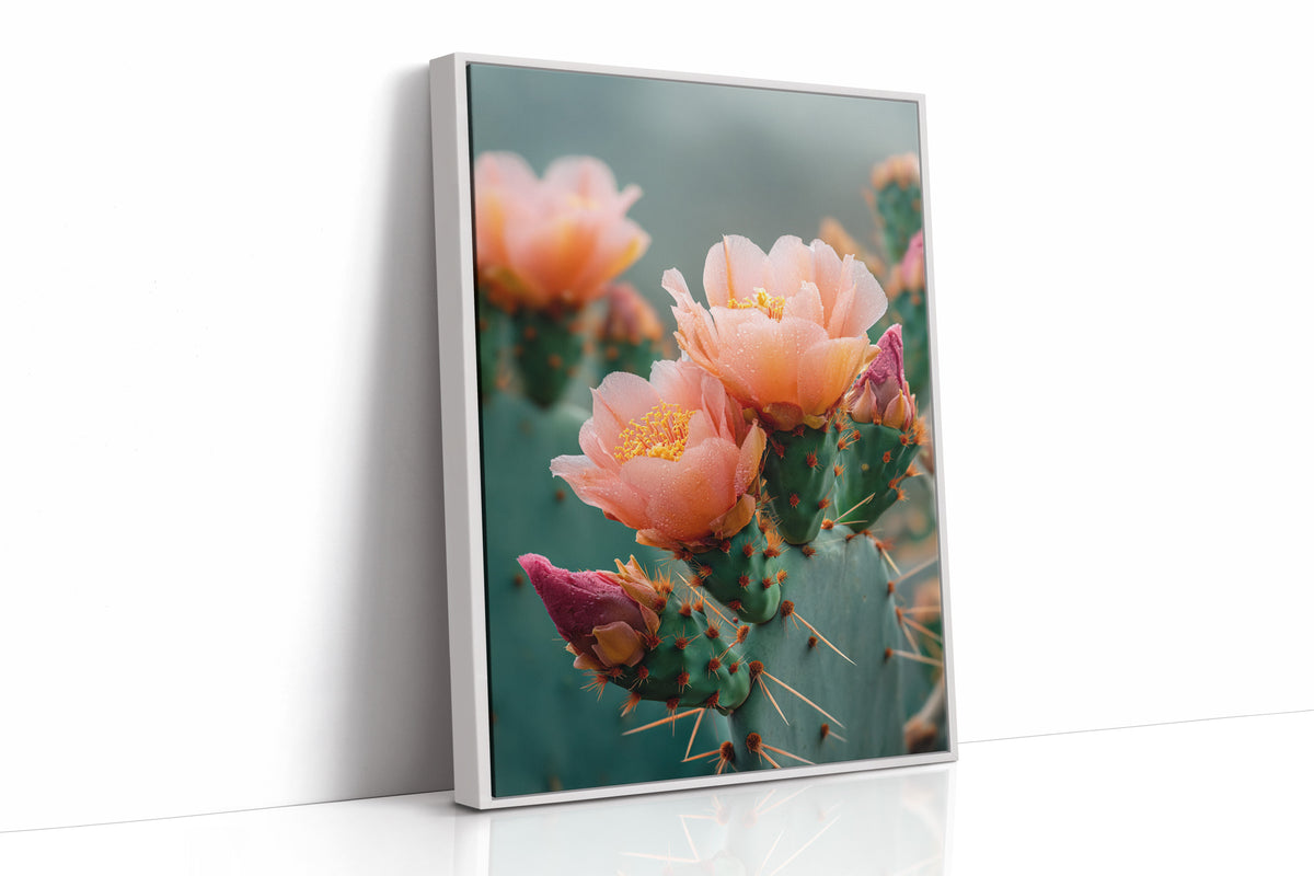 Blossoms In The Desert's Embrace